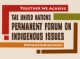 23rd session of the UN Permanent Forum on Indigenous Issues